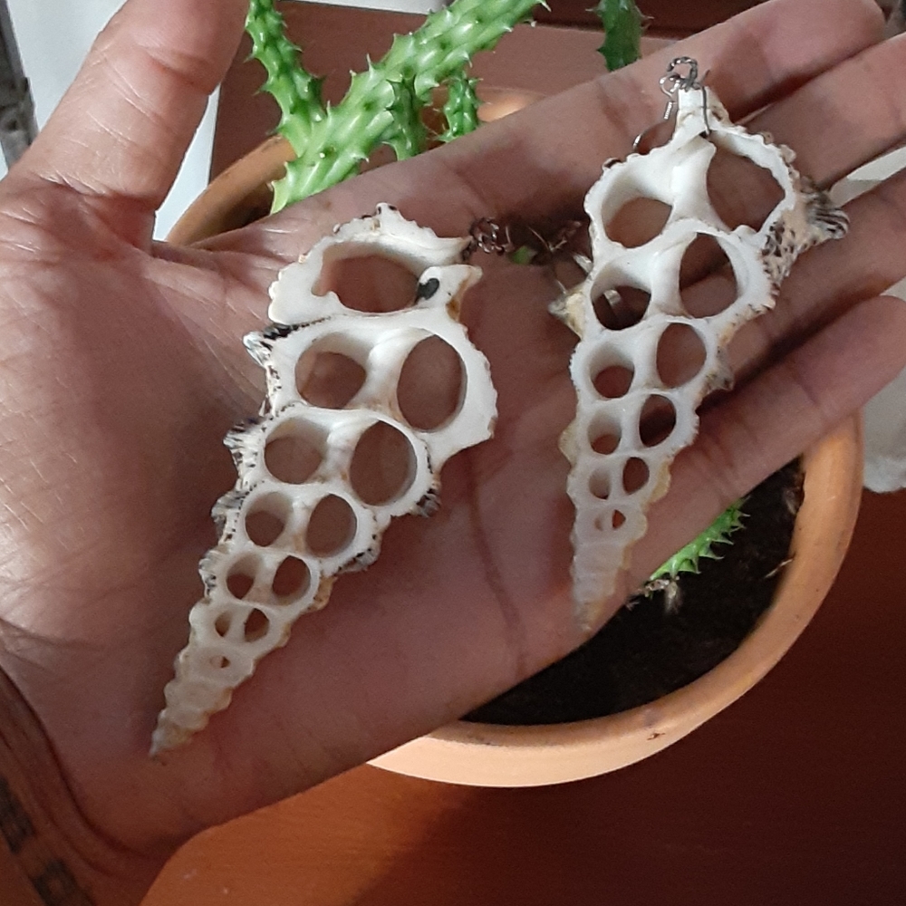 Large conch shell earrings - Picture 1 of 2